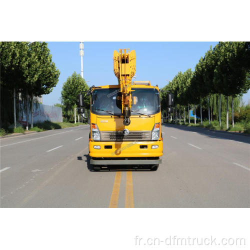 Mini grue de camion de 12 tonnes grue de camionnette